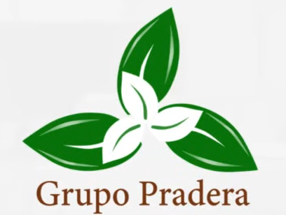 Pradera